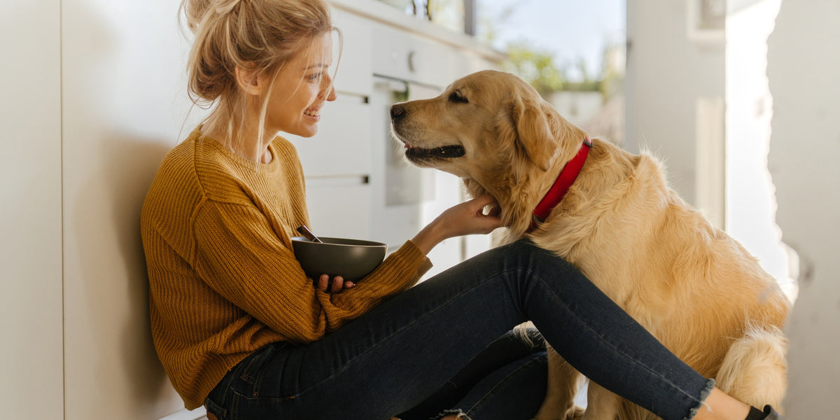Le dog sitting ou comment faire garder un chien ? – ÉQUILIBRE & INSTINCT
