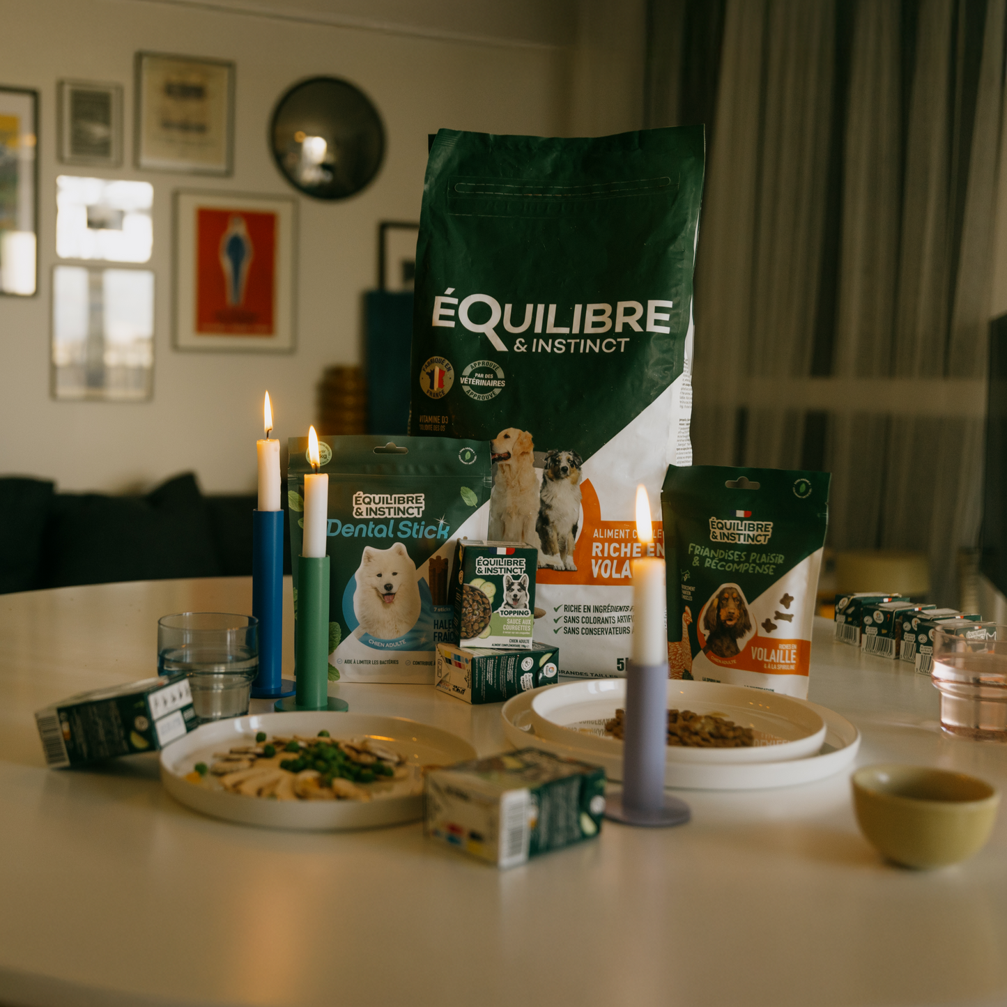 Pack Coup de foudre - Moy. / Grande taille (chien adulte)