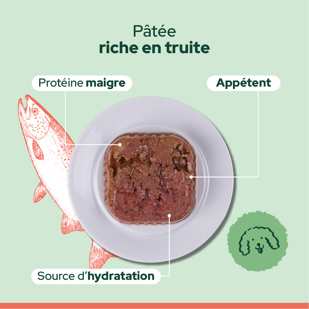 Pack découverte humide (Chien adulte)