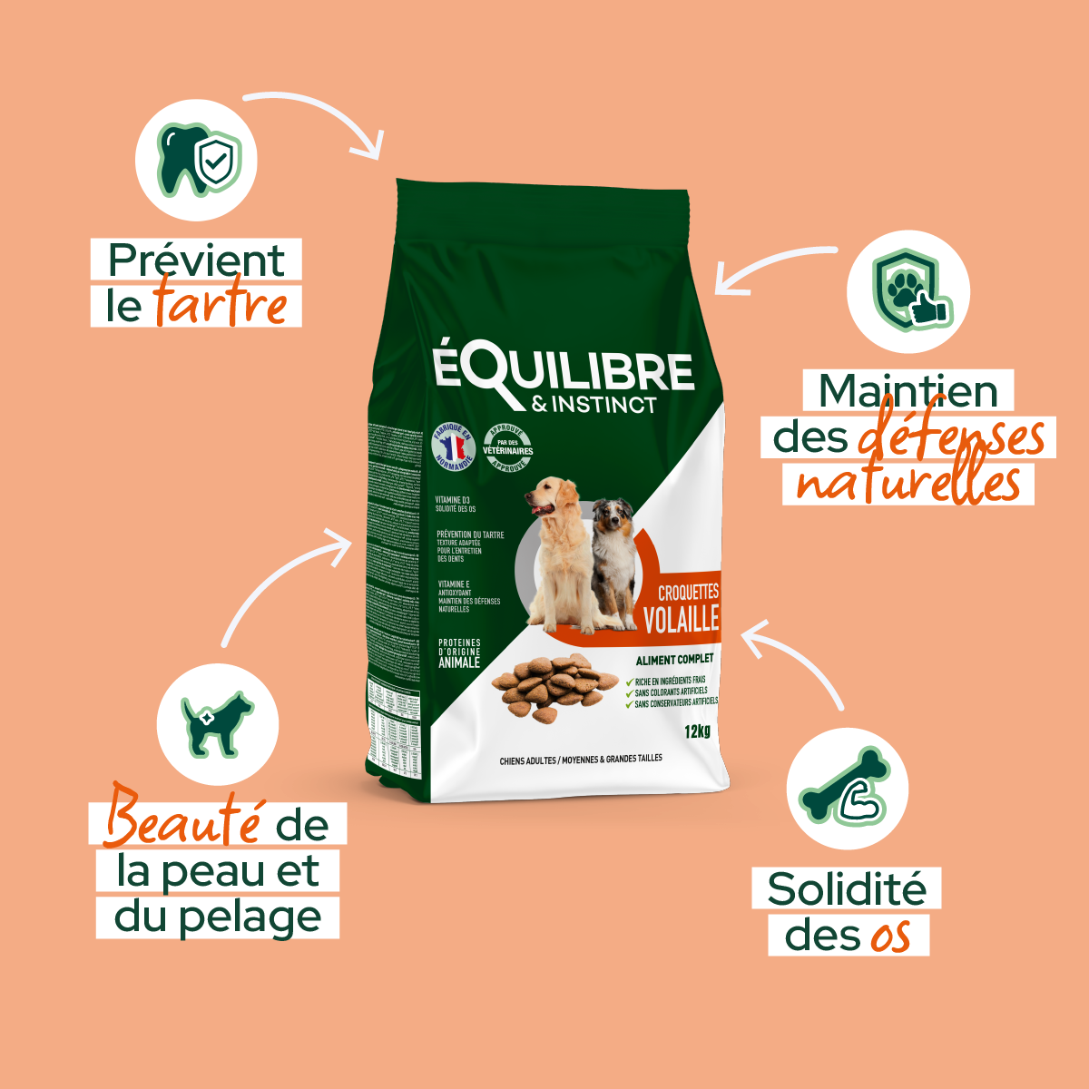 Croquettes de volaille riches en ingrédients frais - Moy. / Grande taille (Chien adulte)