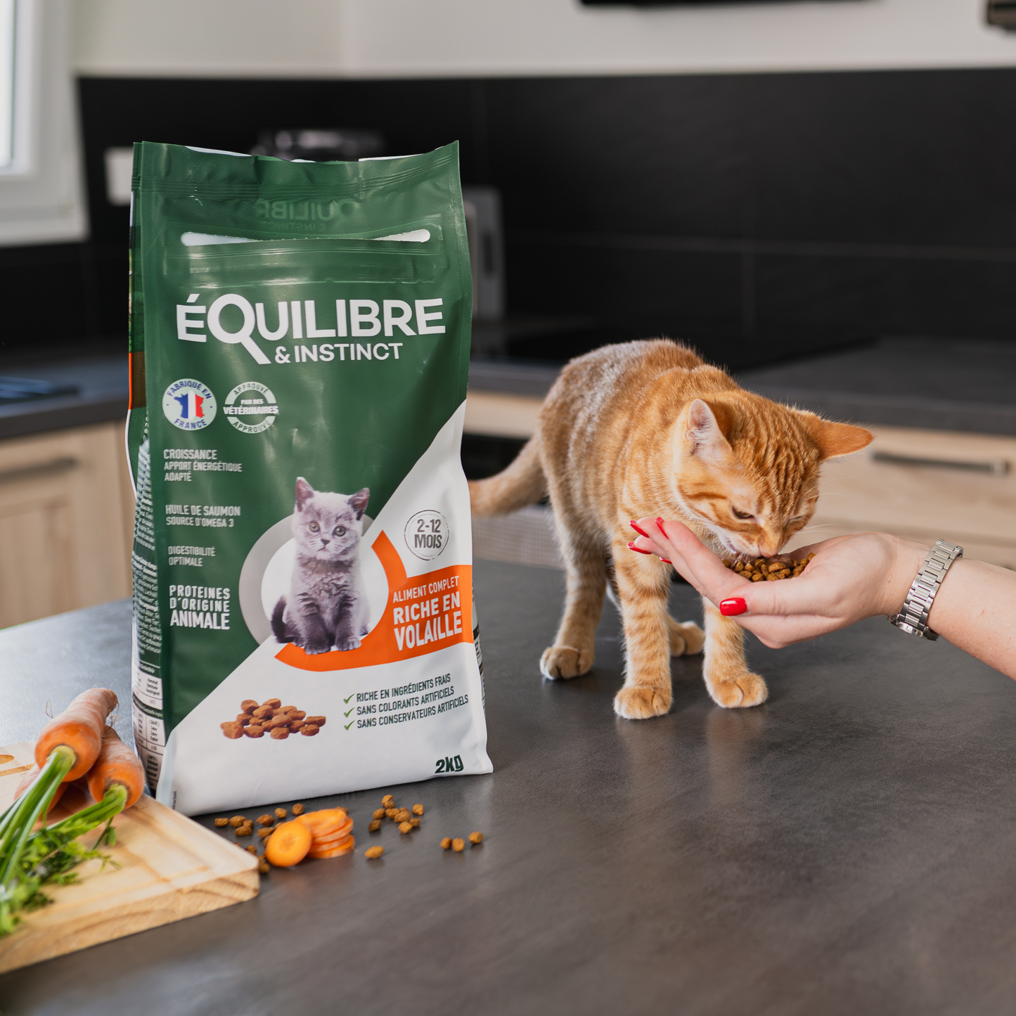 Échantillon de croquettes riches en volaille (Chaton)