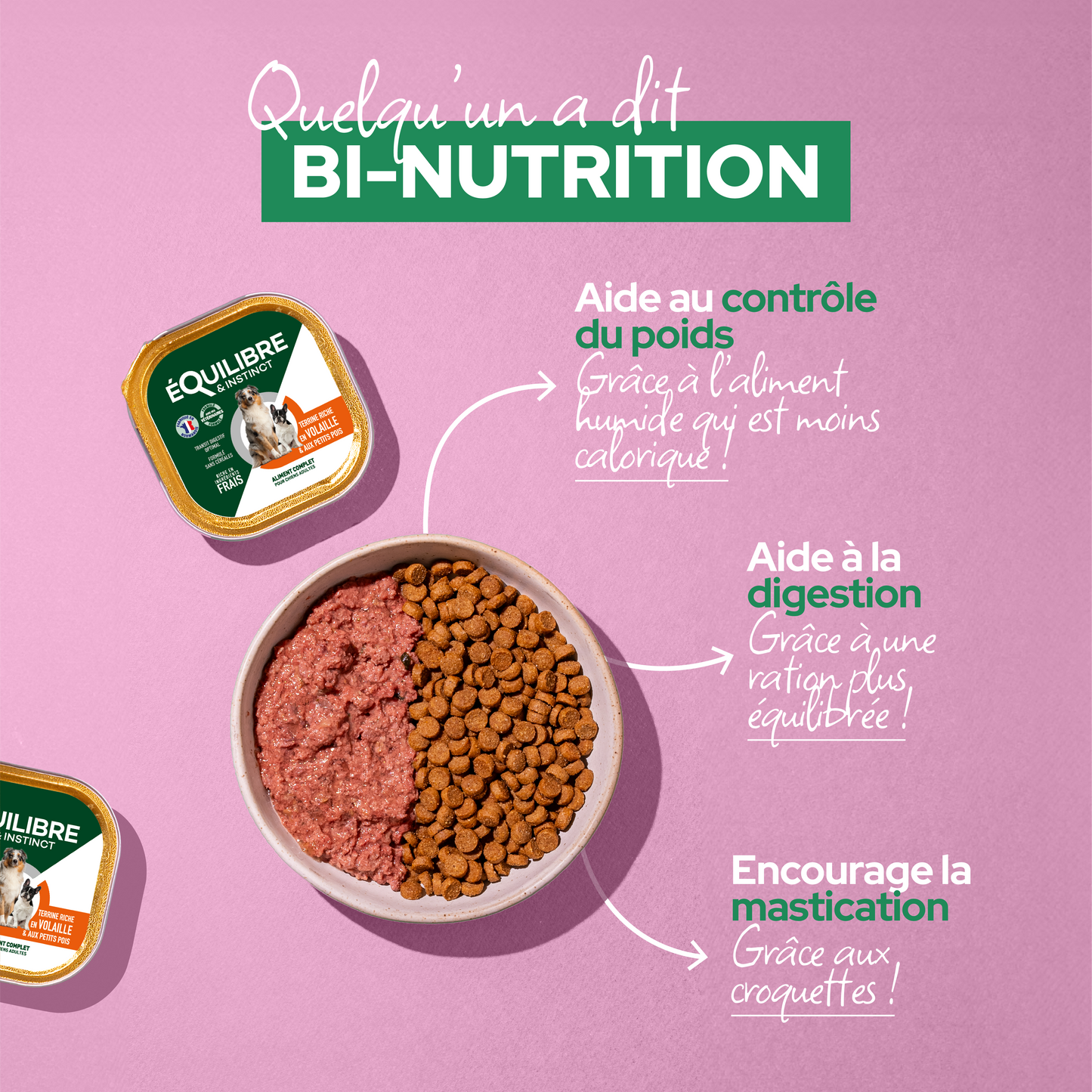 Croquettes de volaille riches en ingrédients frais - Moy. / Grande taille (Chien adulte)