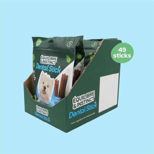 Stick dentaire Dental Stick - Petite taille (Chien adulte)