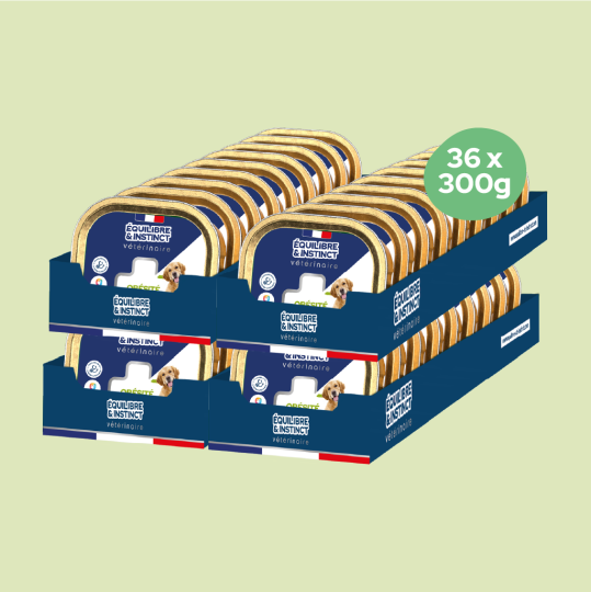 Pâtées diététiques "Obésité" (Chien adulte)