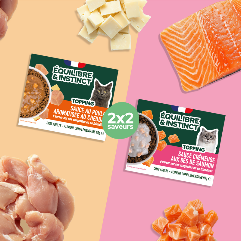 Pack de sauces multisaveurs (Chat adulte)