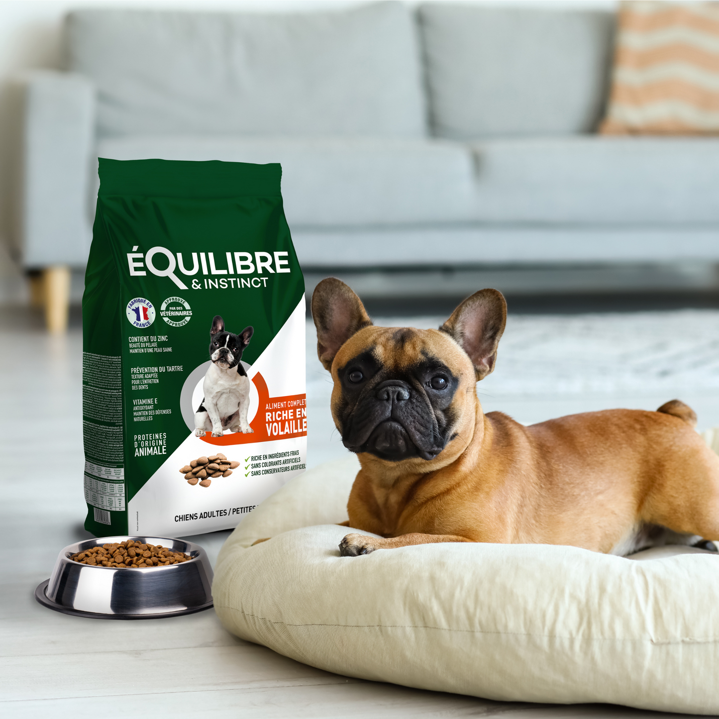 Échantillon de croquettes riches en volaille - Petite taille (Chien adulte)