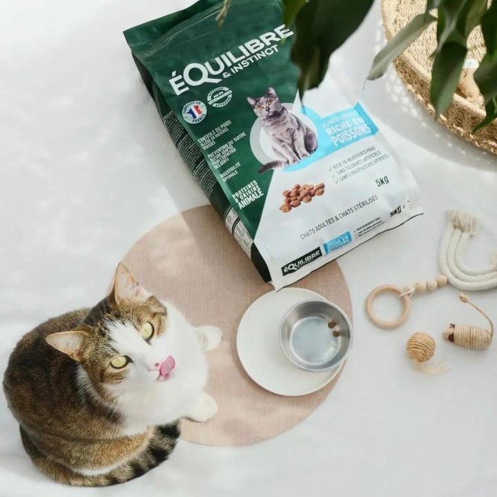 Échantillon de croquettes riches en poisson (Chat stérilisé)