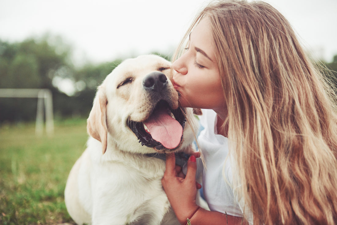 Récompenser son chien : les atouts du renforcement positif