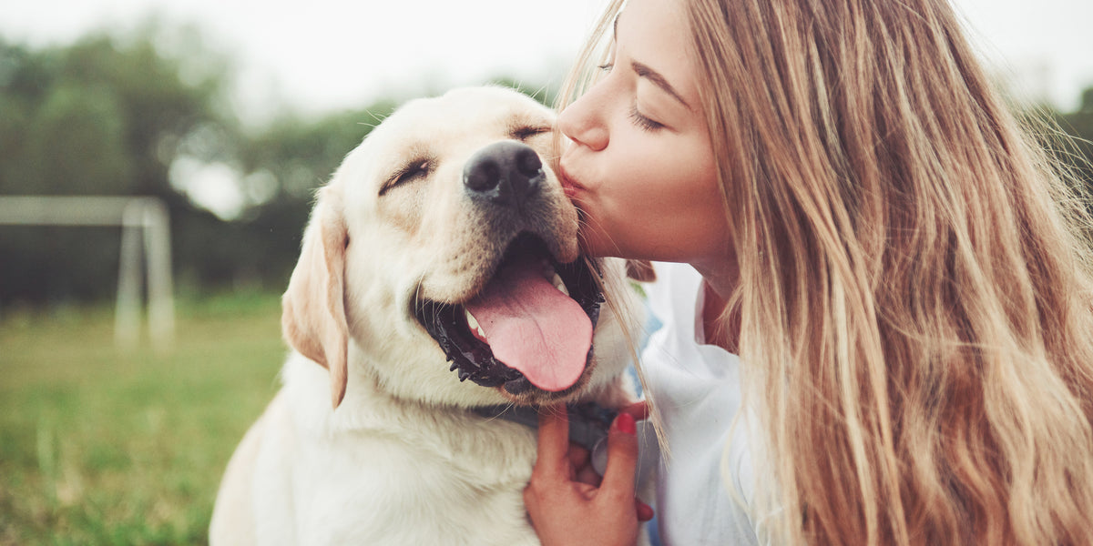 Comment bien récompenser son chien ? – ÉQUILIBRE & INSTINCT