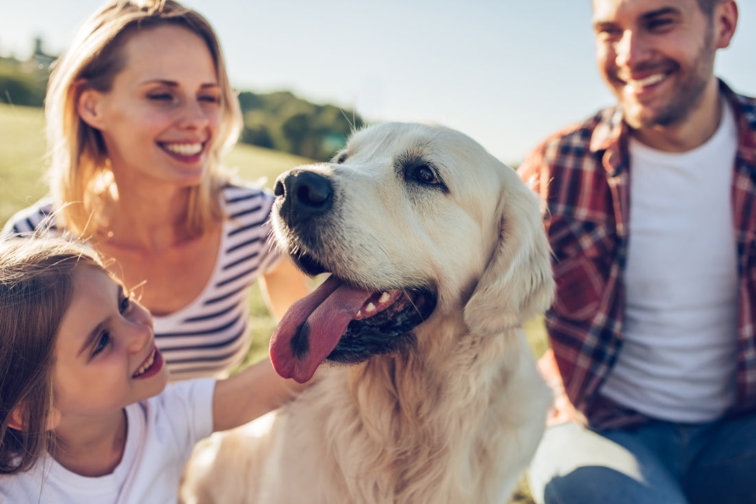Les 8 meilleures races de chiens pour les enfants