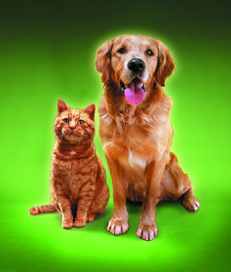 L’expérimentation animale