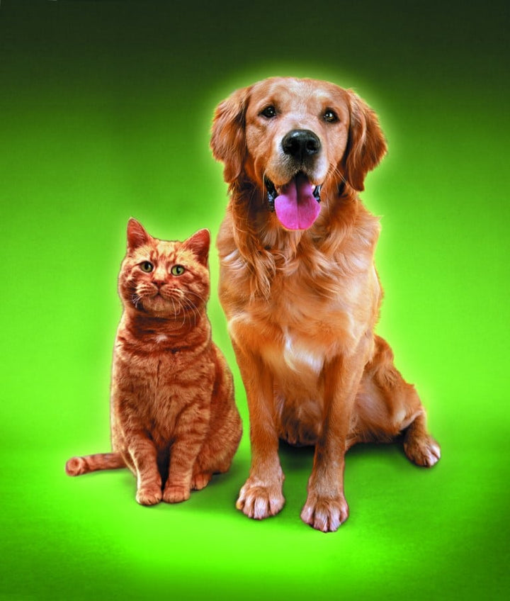 L’expérimentation animale