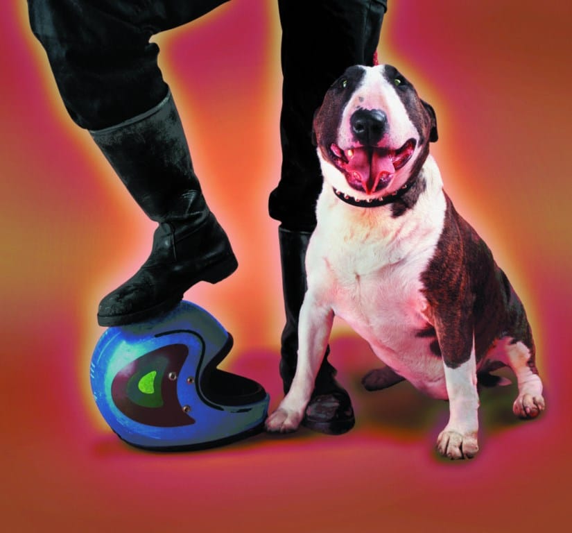 Dog@work tendance ou mode de vie !