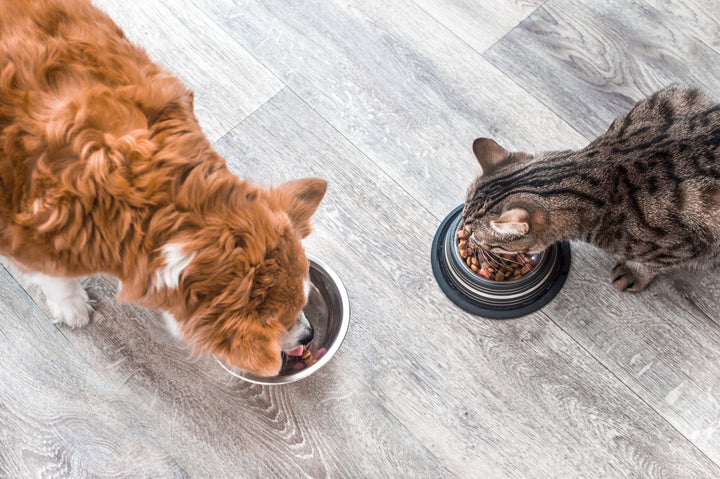 5 idées reçues sur l’alimentation animale