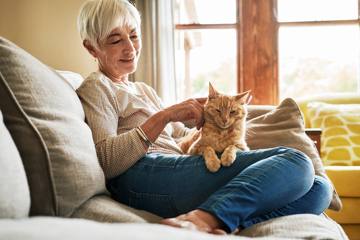 Chat collant : pourquoi et que faire ?