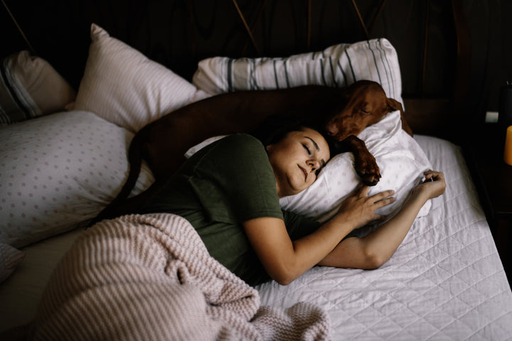 Dormir avec son chien : quels sont les risques ?
