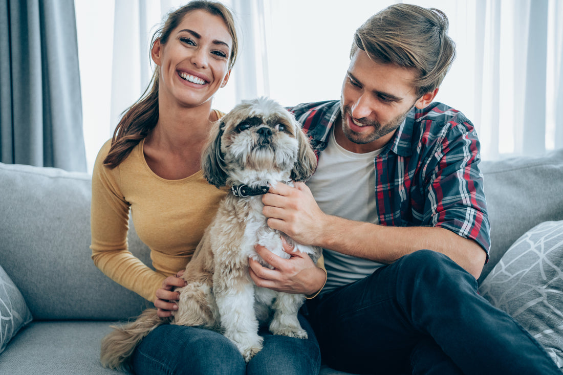 En quoi consiste le dispositif Famille d’Accueil Définitive ?