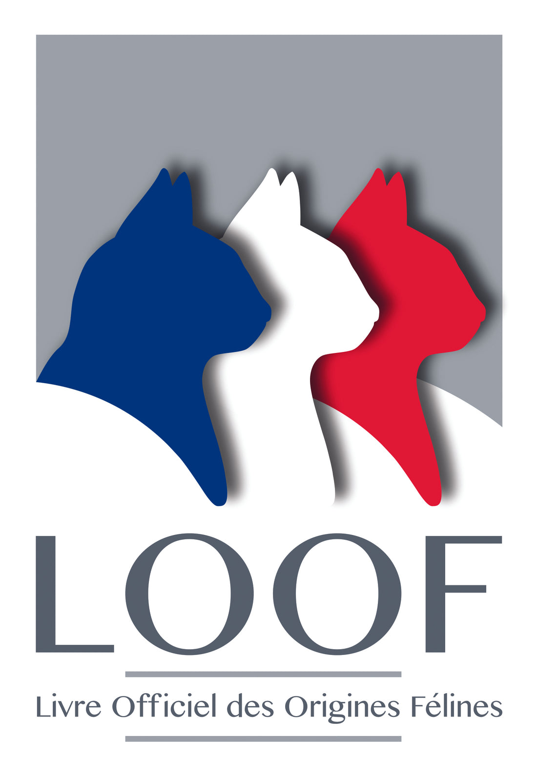 Loof Glossaire des termes félinotechniques - Partie 1