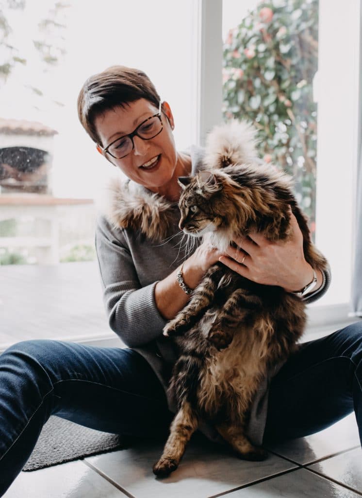 Ce que pensent les chats !