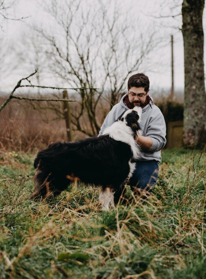 Journée Mondiale du chien