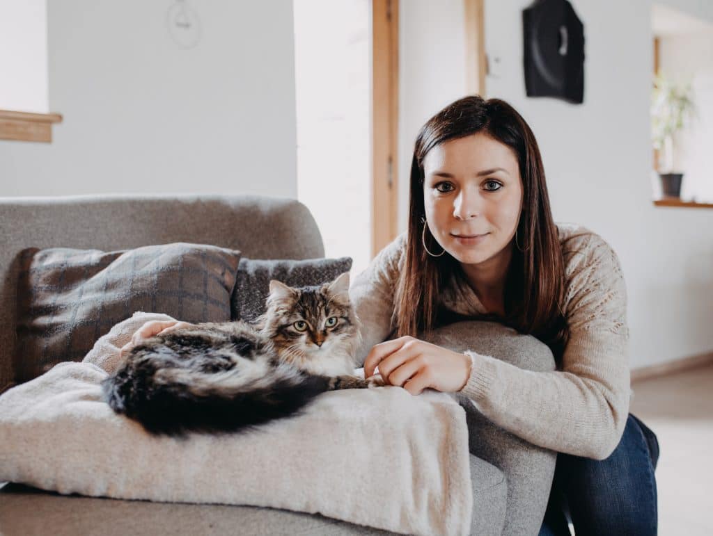 L'espace de vie du chat en appartement
