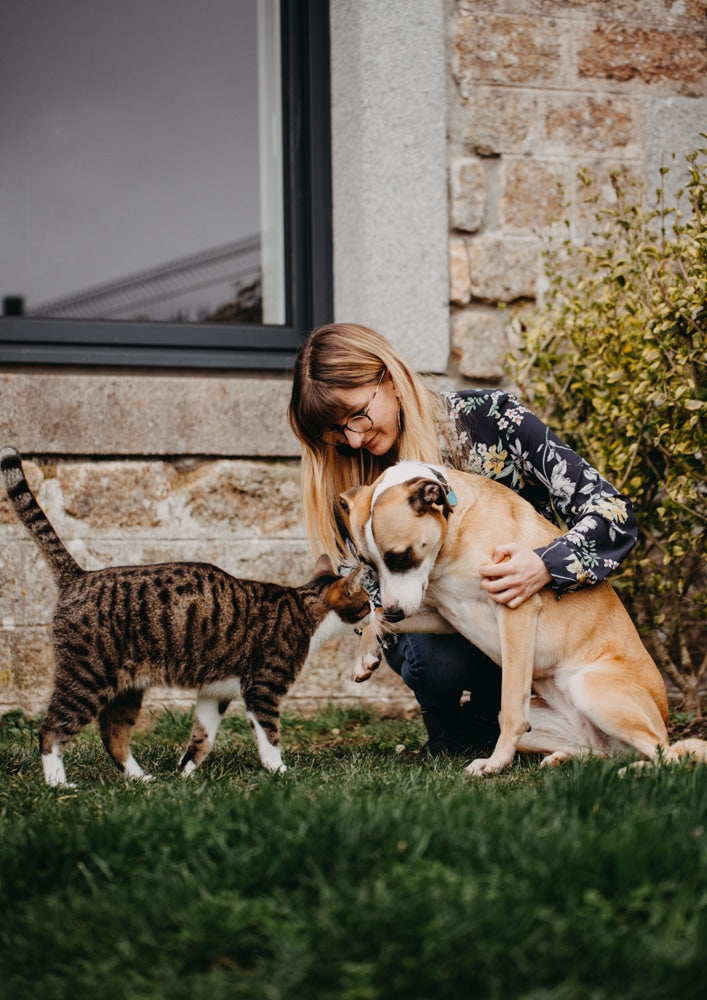 Nos animaux de compagnie sont-ils exposés au coronavirus ?