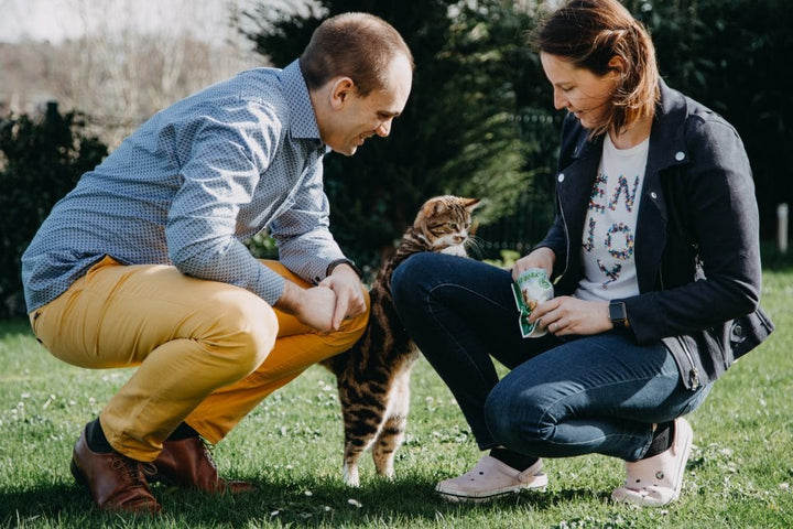 La gestion du confinement avec son animal de compagnie