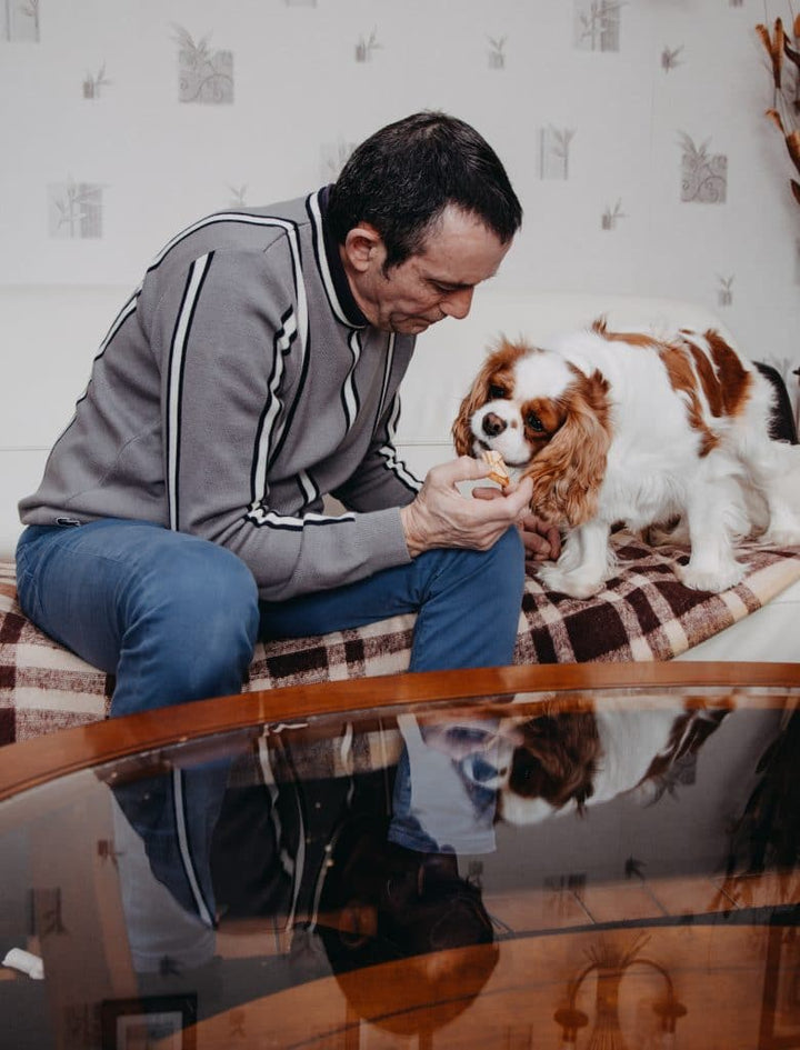 Bien être de son chien : les caresses