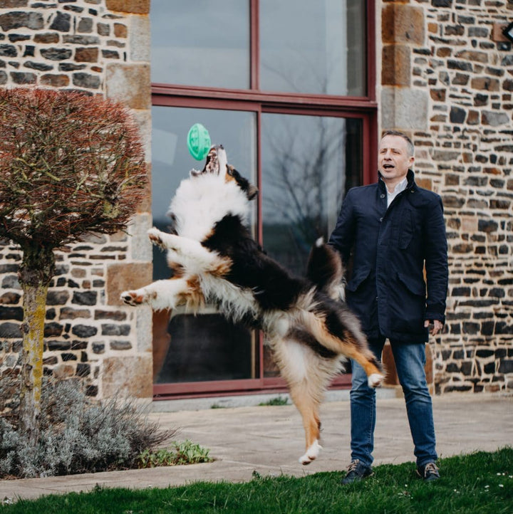 Comment savoir si mon chien s'ennuie ?