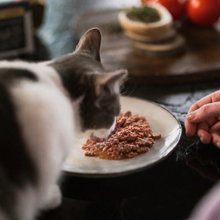 Combien coûte la pâtée pour chat ?