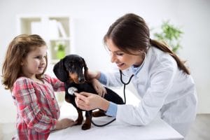 la vaccination du chien et du chiot