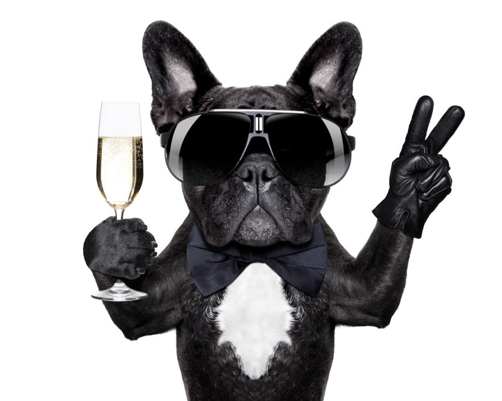 Bonne Année et tous nos vœux pour 2019 !