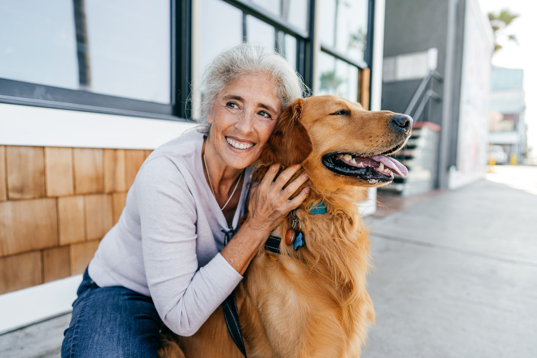 Comment bien s’occuper d’un chien âgé ?