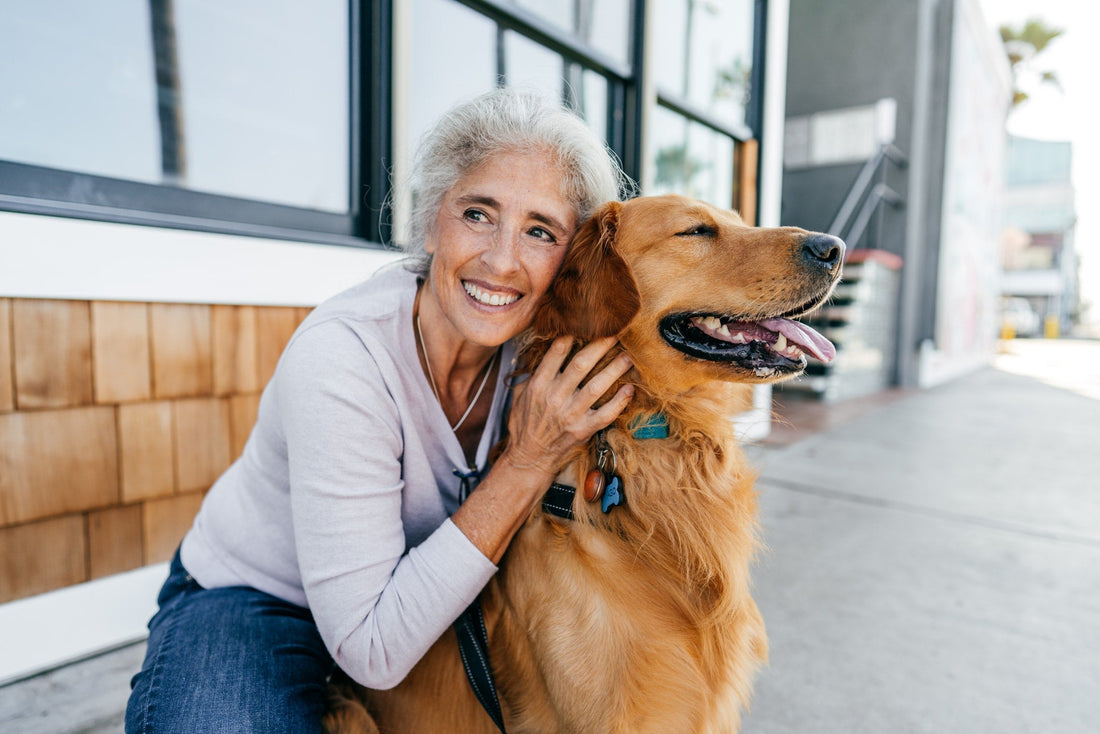 Comment bien s’occuper d’un chien âgé ?