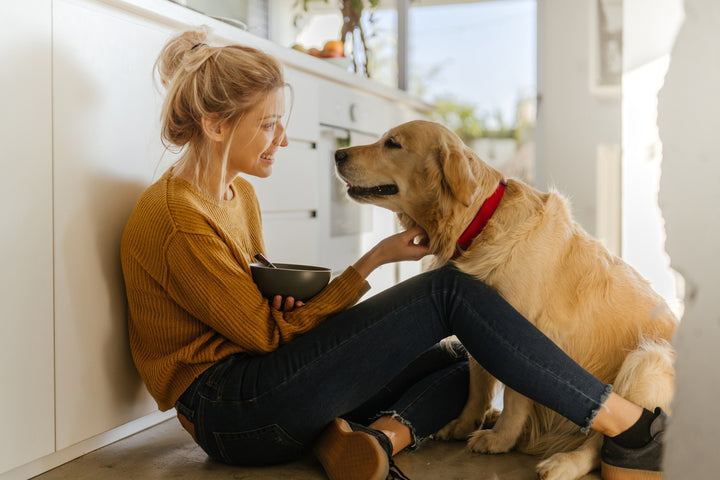 Le dog sitting ou comment faire garder un chien ?