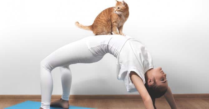 le cat yoga
