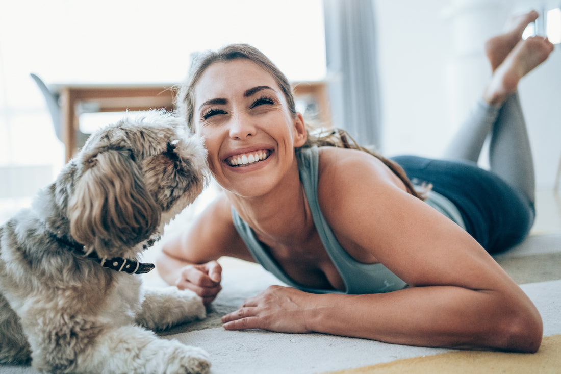 Un chien en appartement : est-ce possible ?