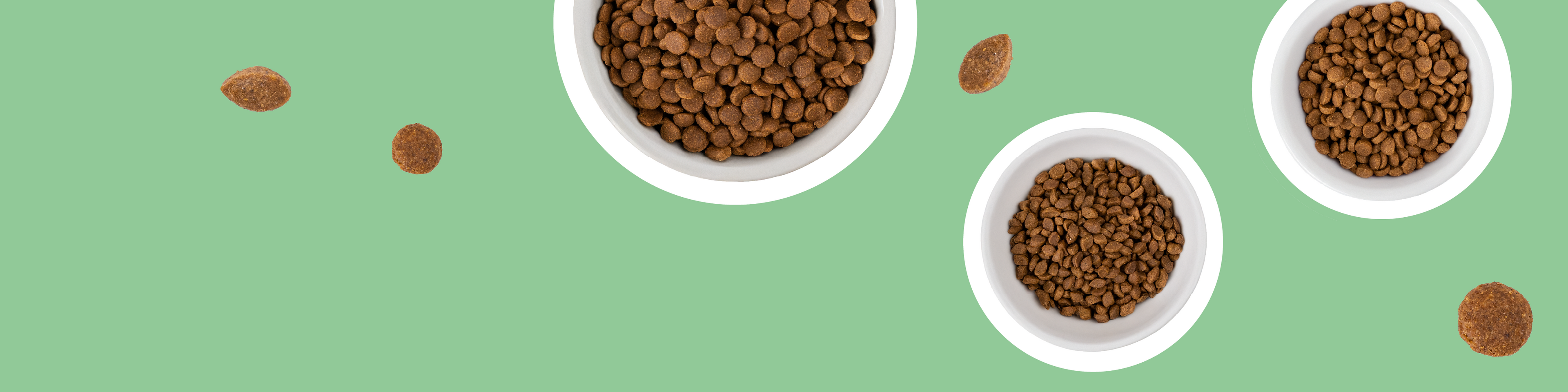 Croquettes pour chat et chien