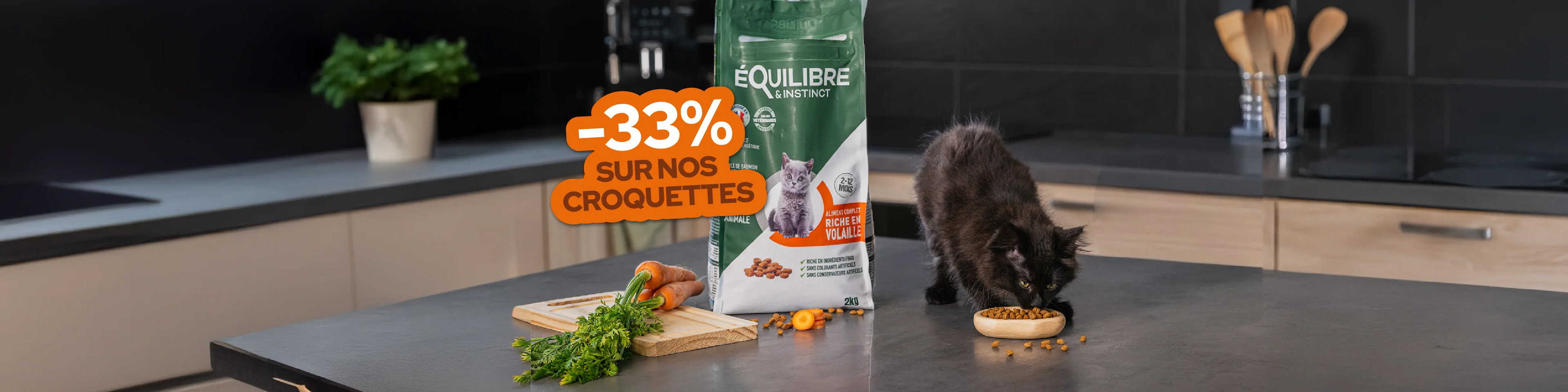 Croquettes pour chat françaises