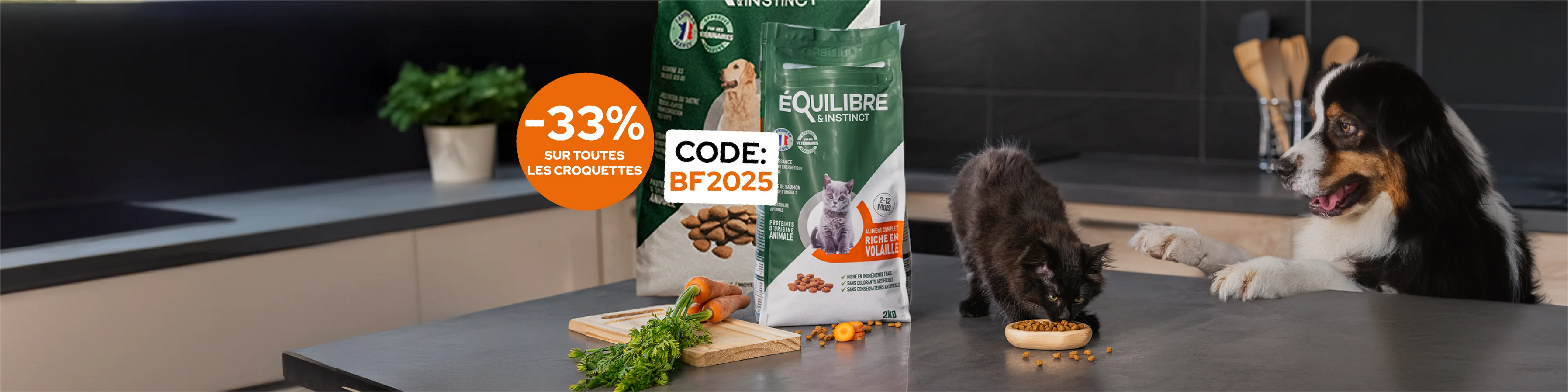 Kits découverte