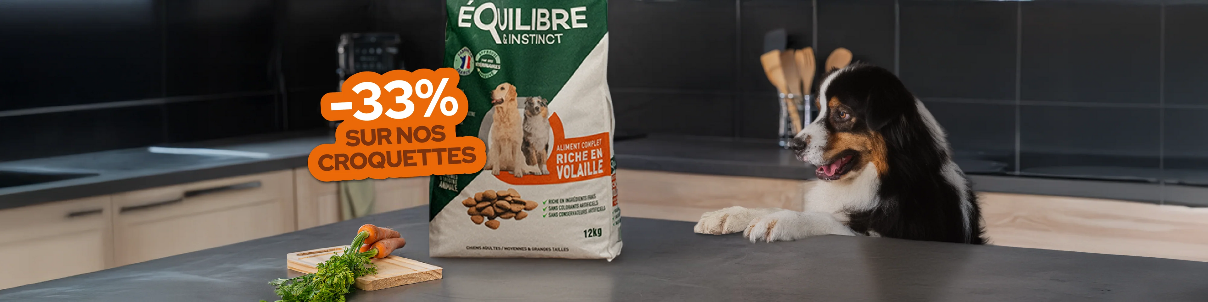 Croquettes pour chien françaises