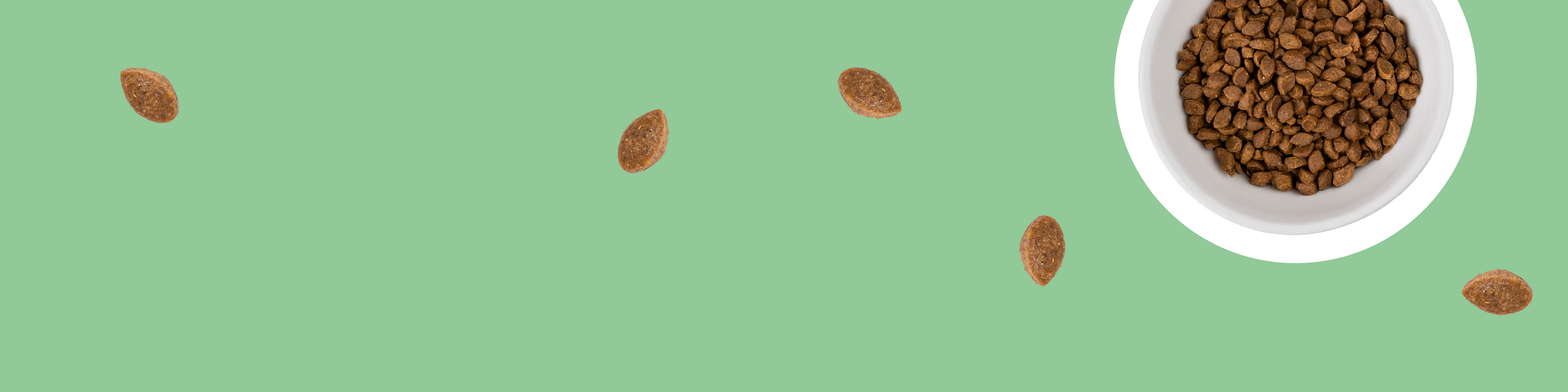 Croquettes pour chat françaises