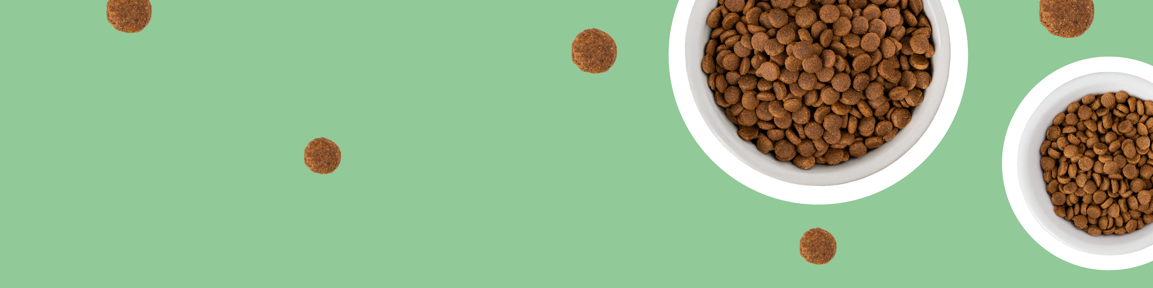 Croquettes pour chien françaises