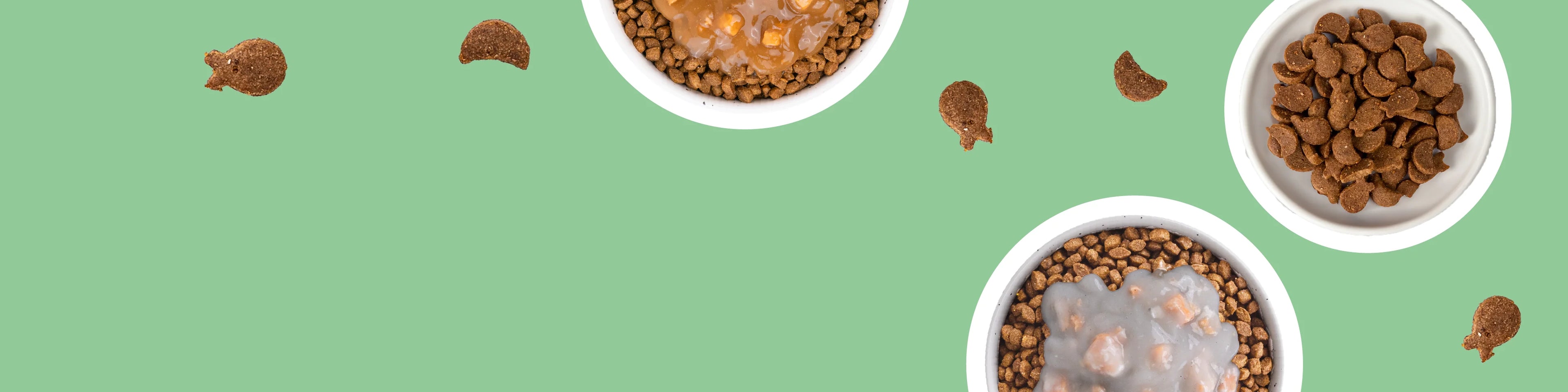 Friandises pour chat adulte