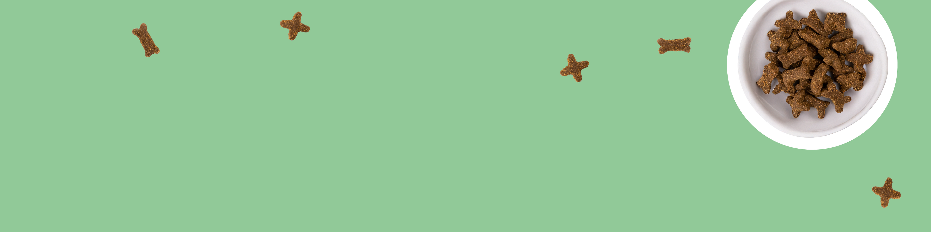 Friandises dressage pour chien