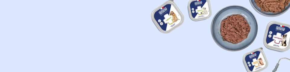 Alimentation vétérinaire pour chien et chat