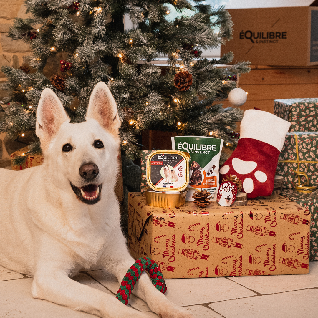 Chaussette de Noël (chien adulte)