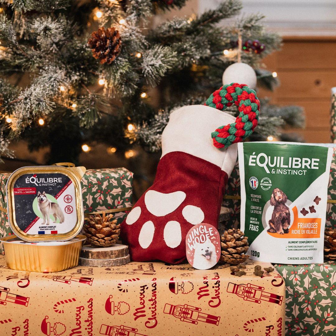 Chaussette de Noël (chien adulte)