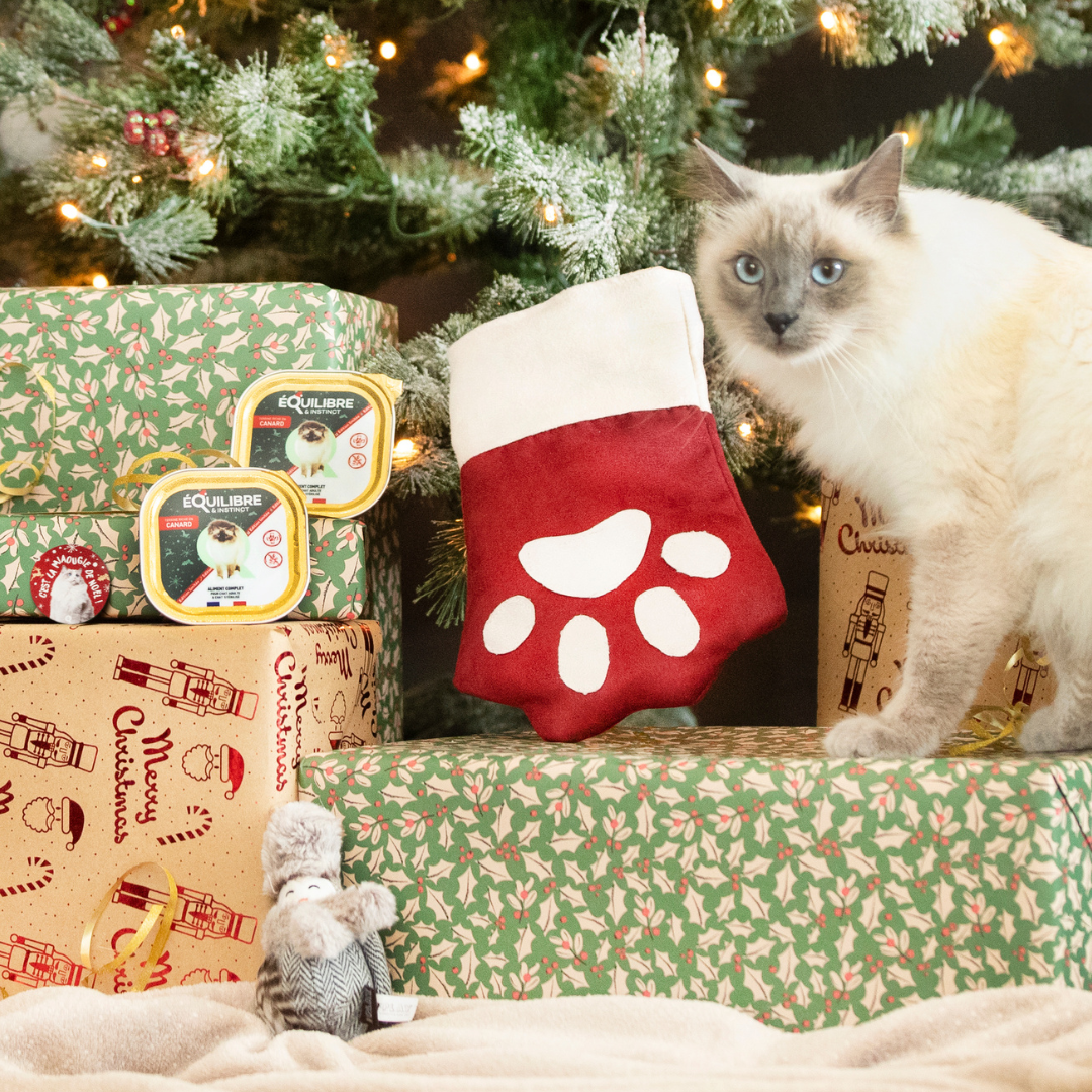 Chaussette de Noël (chat stérilisé et chat adulte)