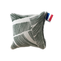 Mini-coussin d'herbe à chat (chat)